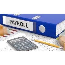 payroll mauritius