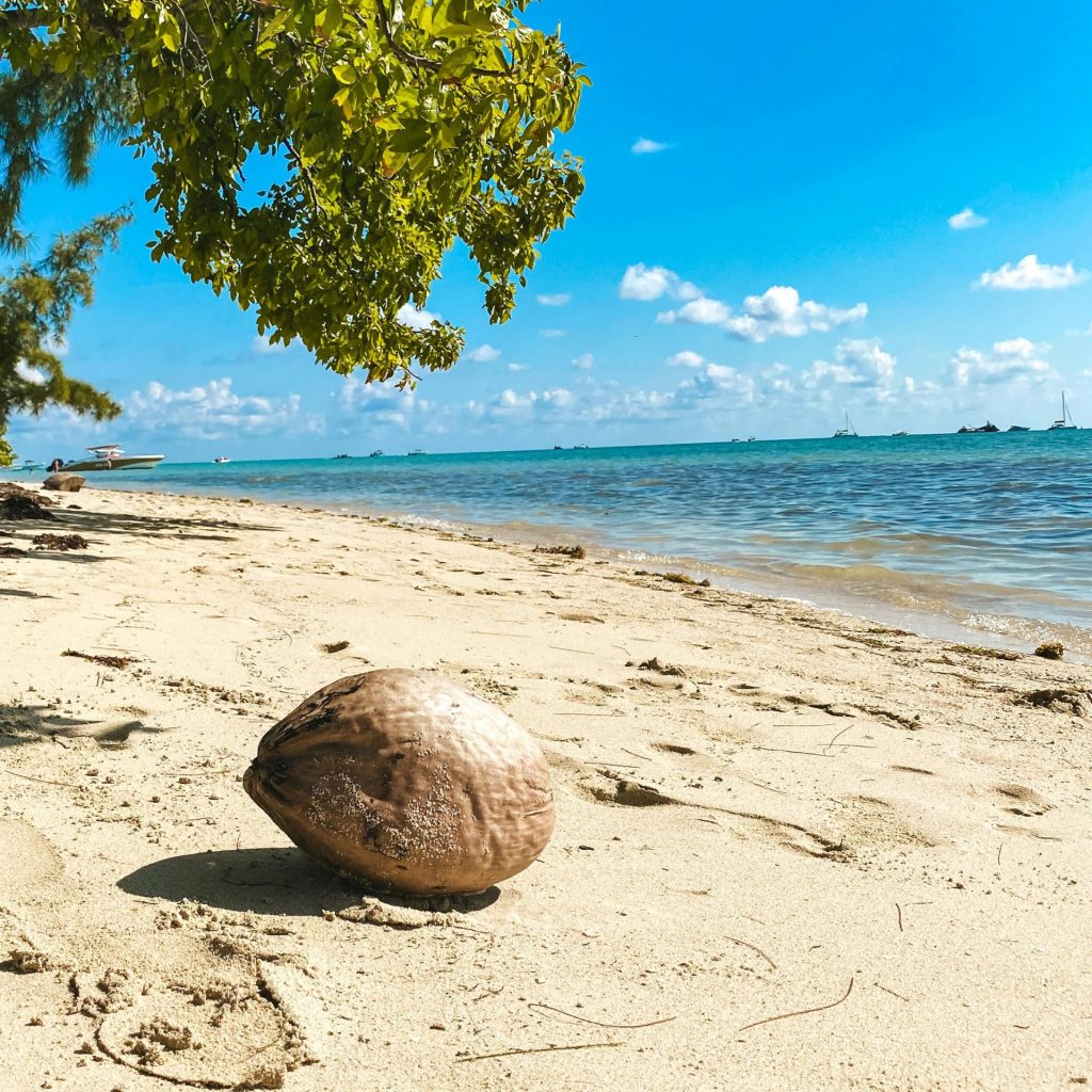 business opportunities in mauritius